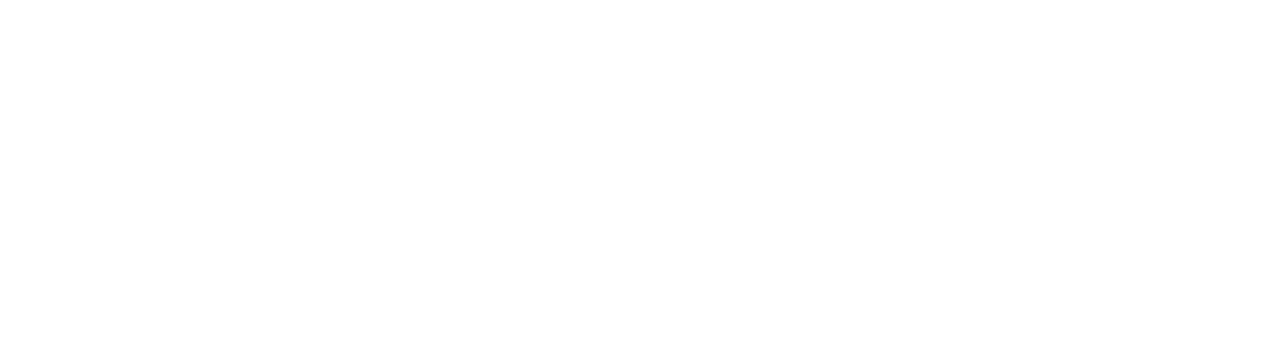 earlux Brand logo