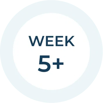 week 5+: Publish & Distribute